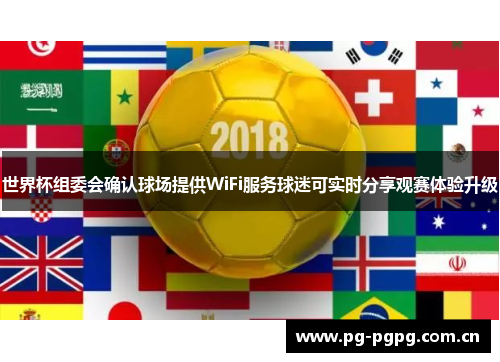 世界杯组委会确认球场提供WiFi服务球迷可实时分享观赛体验升级